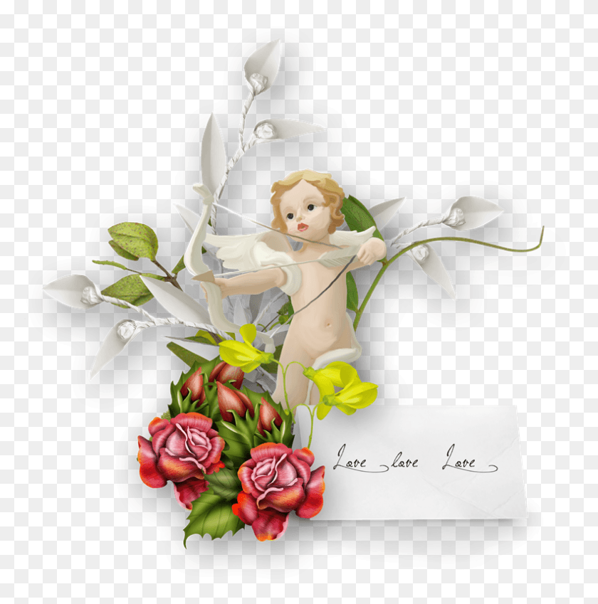 790x800 Cosas Para Photoscape Cosas Para Photoscape, Plant, Flower, Blossom HD PNG Download