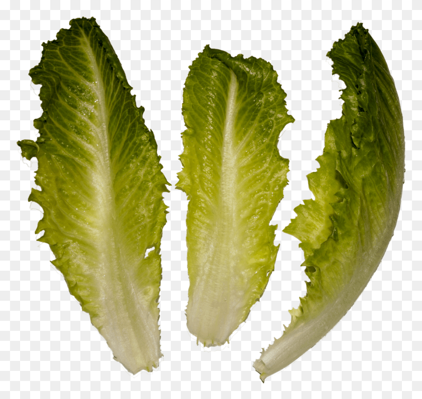 1061x1002 Cosmopolitan Salad Romaine Lettuce, Plant, Vegetable, Food HD PNG Download