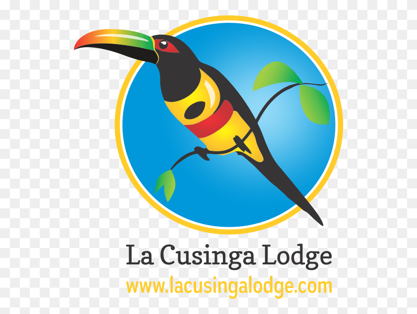 545x573 Tucán De Costa Rica Png / Aves Png