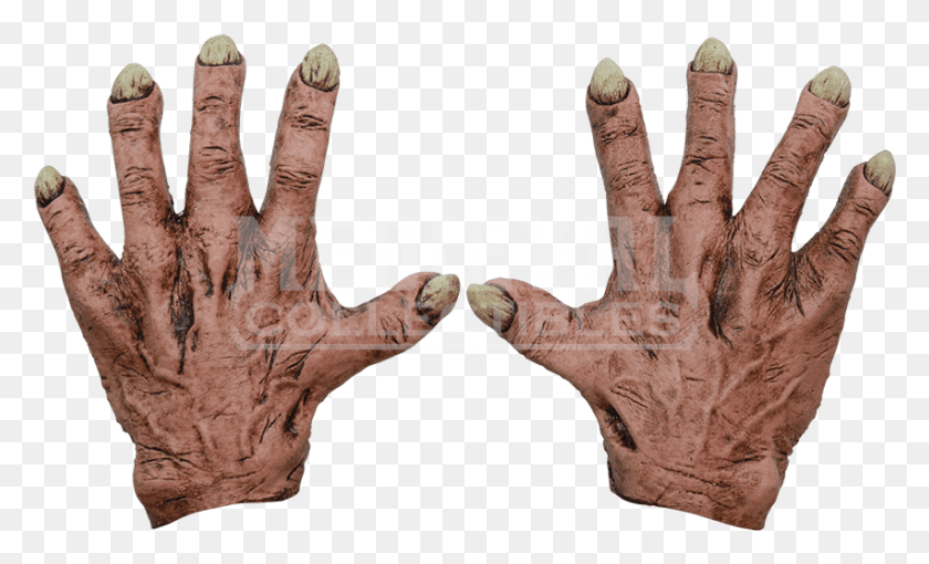 851x492 Costume, Hand, Finger, Person HD PNG Download