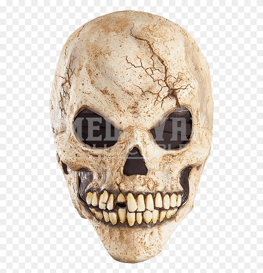 529x813 Costume, Jaw, Skeleton, Head HD PNG Download