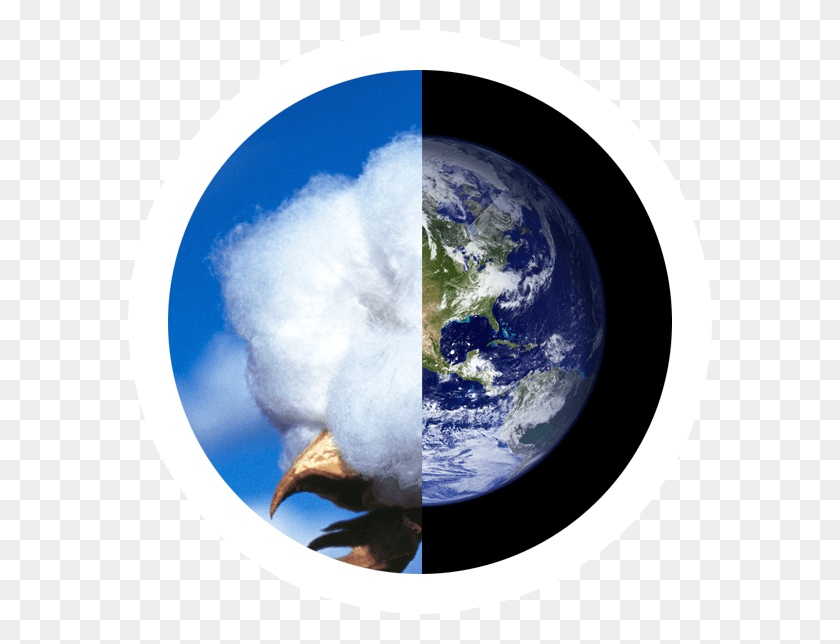584x584 Хлопковая Коробочка И Планета Земля Хлопок Устойчивость, Космическое Пространство, Астрономия, Космос Hd Png Скачать
