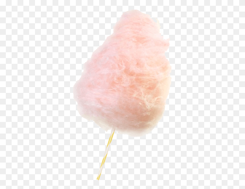 346x591 Cotton Candy For Designing Projects Transparent Cotton Candy, Cushion, Bird, Animal HD PNG Download