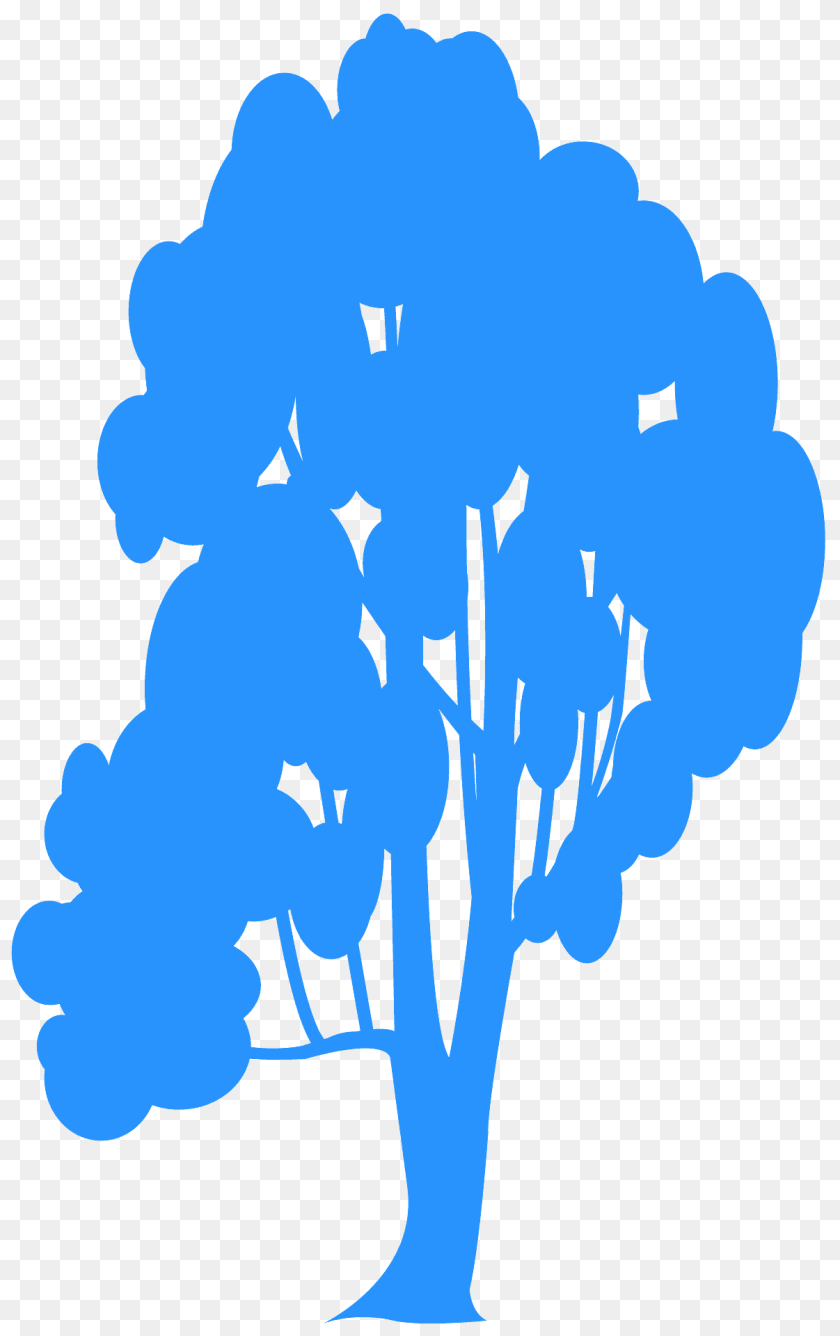 Cottonwood Silhouette, Plant, Tree, Art, Painting Transparent PNG