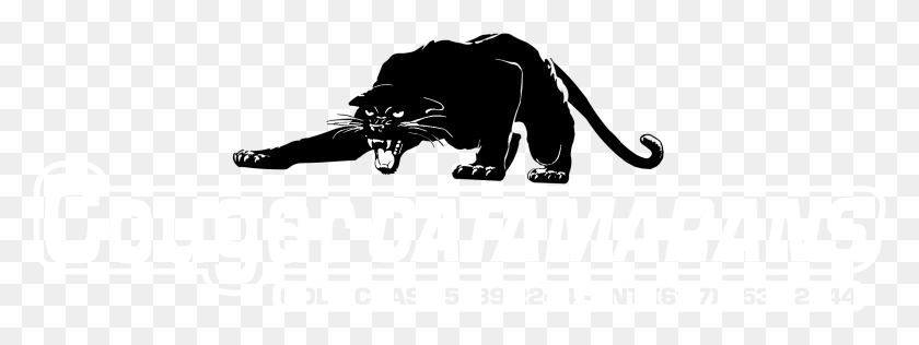 2191x721 Логотип Cougar Catamarans Черно-Белая Иллюстрация, Текст, Символ, Товарный Знак Hd Png Скачать