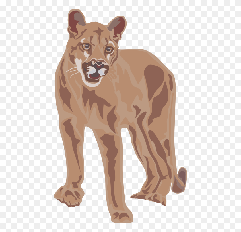 466x750 Cougar Lion Document Big Cat Mountain Lion Clipart, Mammal, Animal, Wildlife HD PNG Download