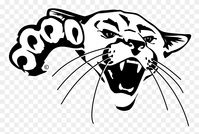 4000x2607 Cougar Transparent Cougar Images Pluspng Yellow Barton Community College Mascot, Mammal, Animal, Stencil HD PNG Download