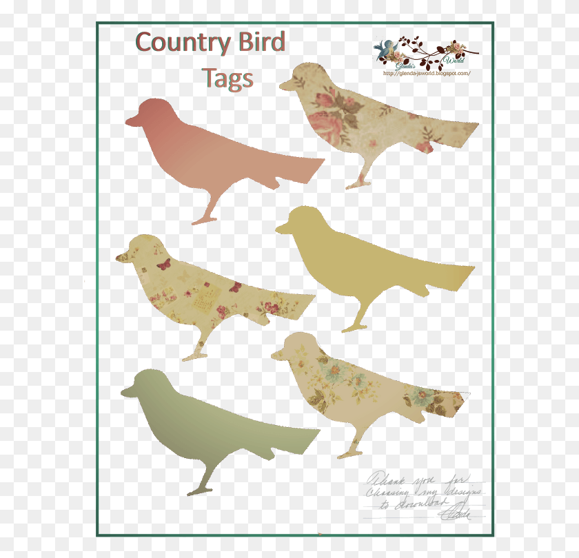 597x750 Country Birds Set Glenda39s World B Wordt Weergegeven Flock, Bird, Animal, Text HD PNG Download