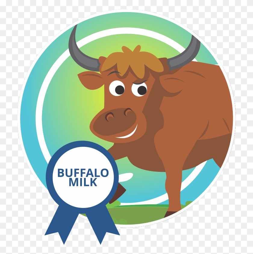726x784 Country Delight Product Buffalo Milk, Cattle, Mammal, Animal HD PNG Download