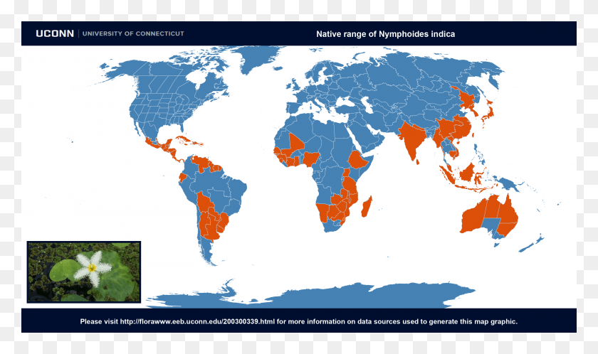 3200x1800 Country Of Origin Water Hyacinth Origin Map, Diagram, Plot, Atlas HD PNG Download