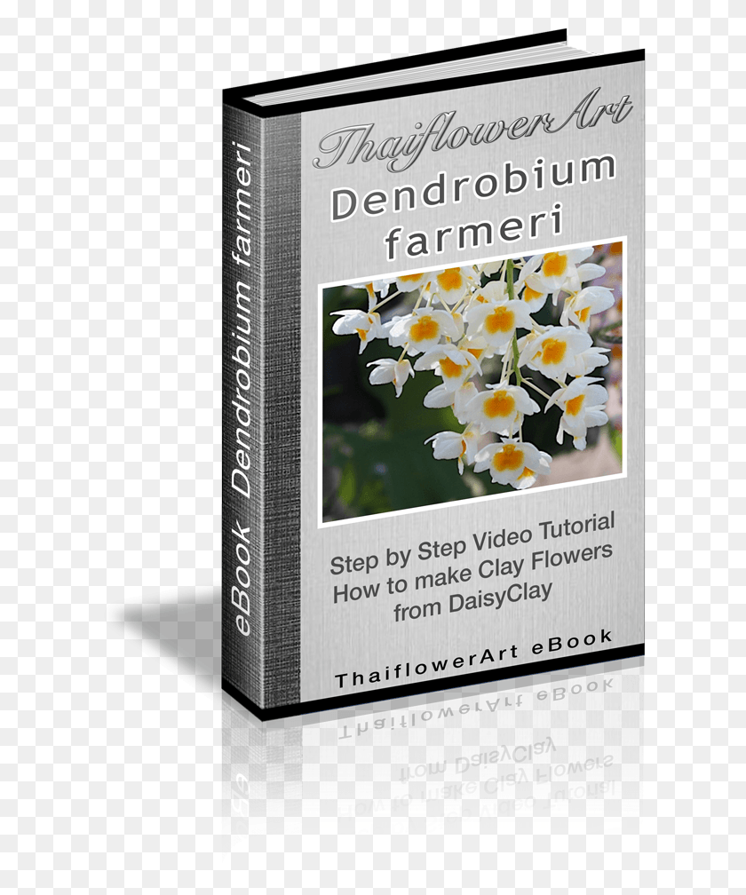 614x948 Cover Ebook Dendrobium Farmeri Camomile, Plant, Petal, Flower HD PNG Download