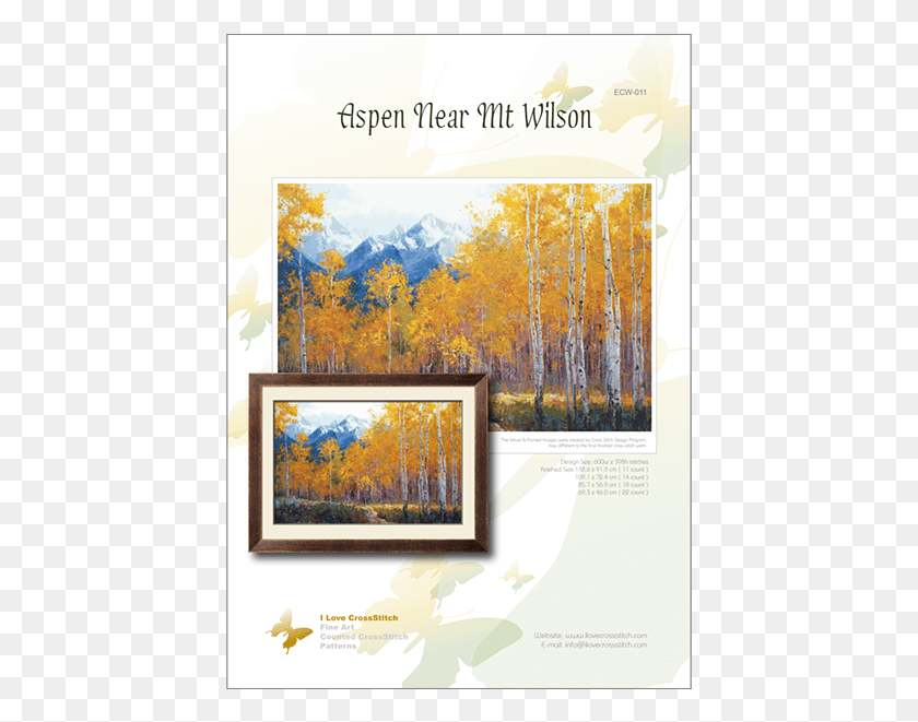 427x601 Cover Ecw 011 Aspen Near Mt Wilson Picture Frame, Tree HD PNG Download