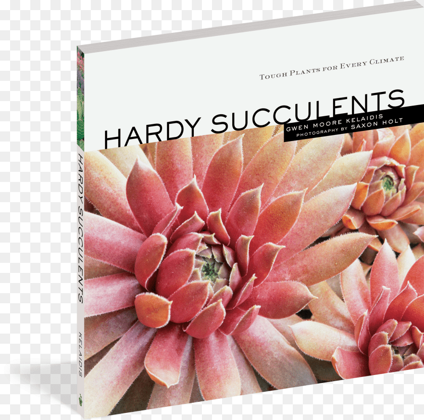 Cover Hardy Succulents Ebook Clipart PNG