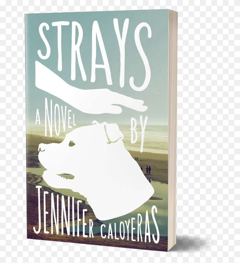 670x861 Cover Of Strays Strays A Novel, Poster, Advertisement, Flyer HD PNG Download