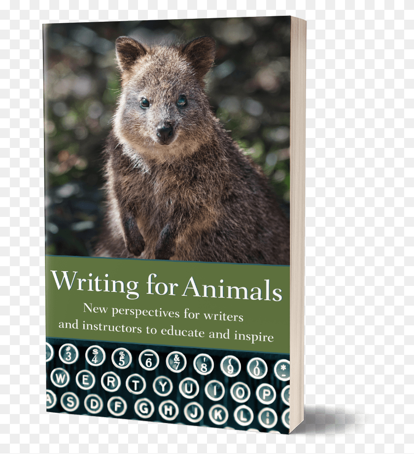 670x861 Cover Writing For Animals Writing For Animals An Anthology For Writers And Instructors, Bear, Wildlife, Mammal HD PNG Download