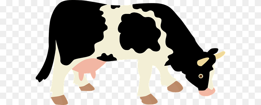 Cow Animal, Cattle, Dairy Cow, Livestock Clipart PNG