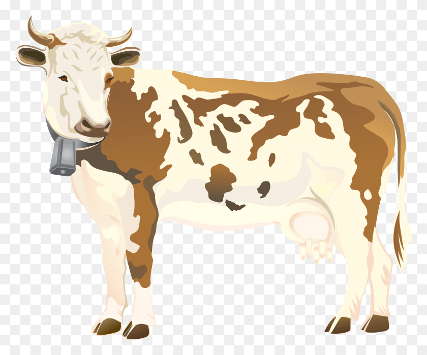 7849x6435 Cow, Cattle, Mammal, Animal HD PNG Download