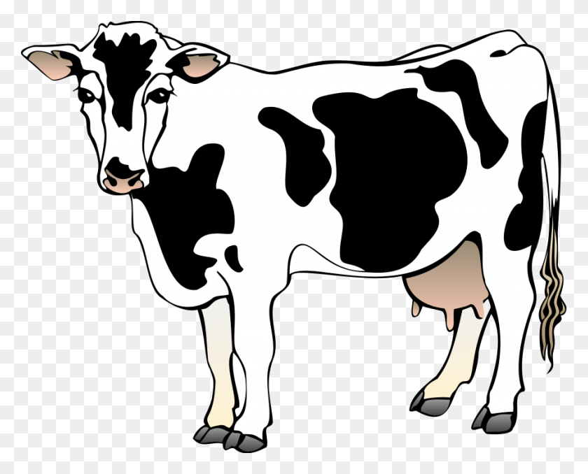 900x714 Cow 4 Small Clipart 300pixel Size Free Design Clipart Of Cow, Cattle, Mammal, Animal HD PNG Download