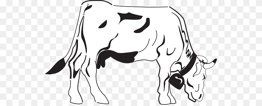 552x340 Cow Animal, Cattle, Dairy Cow, Livestock Clipart PNG