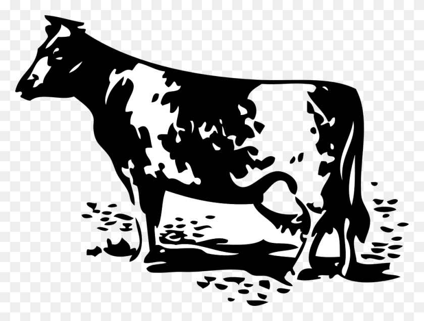 960x711 Cow Animal Dairy Dairy Farm Shirt Design, Stencil, Indoors HD PNG Download
