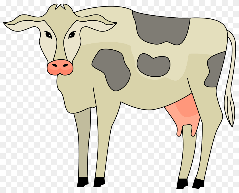 Cow Animal, Cattle, Dairy Cow, Livestock Clipart PNG