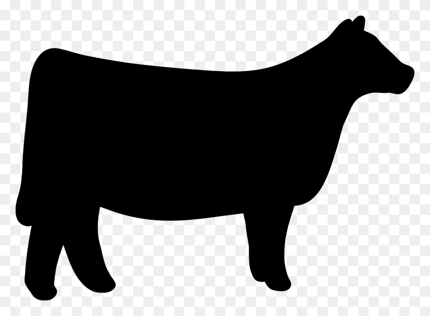 1349x966 Cow Clipart Heifer Show Heifer Silhouette, Pig, Mammal, Animal HD PNG Download