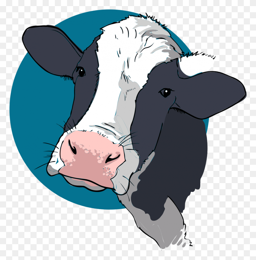 970x985 Cow Closeup Cow Head Clipart, Cattle, Mammal, Animal HD PNG Download