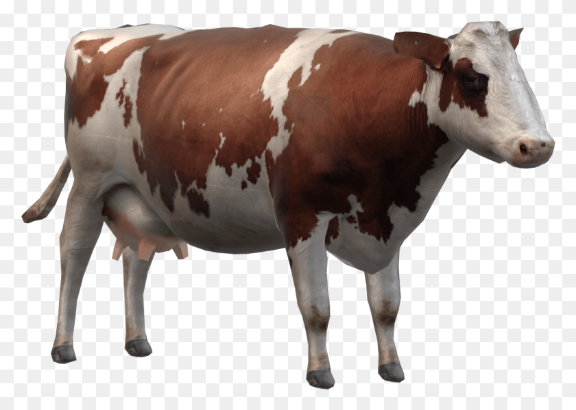 1030x712 Cow Dairy Cow, Cattle, Mammal, Animal HD PNG Download