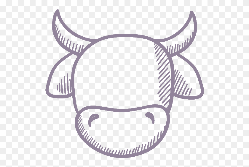 536x505 Cow Face Drawing Of A Cow Head, Logo, Symbol, Trademark HD PNG Download