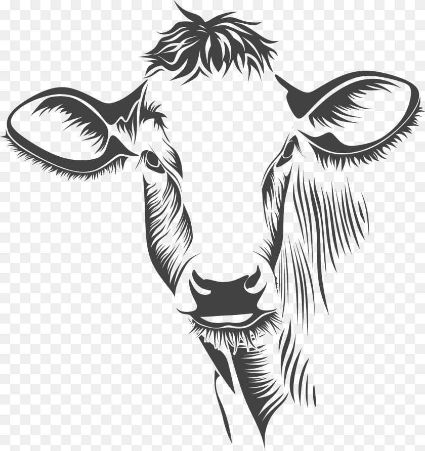 1809x1920 Cow Head Black And White Animal, Cattle, Livestock, Mammal Clipart PNG
