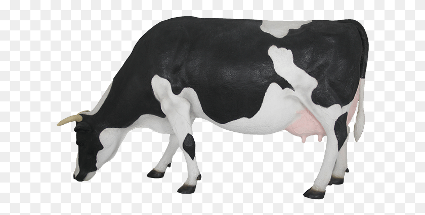 618x364 Корова Голова Молочная Корова, Крупный Рогатый Скот, Млекопитающее, Животное Hd Png Скачать