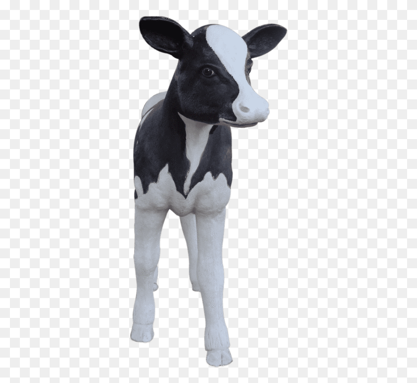 321x711 La Vaca Png / Vaca Holstein Becerro Lechero Hd Png