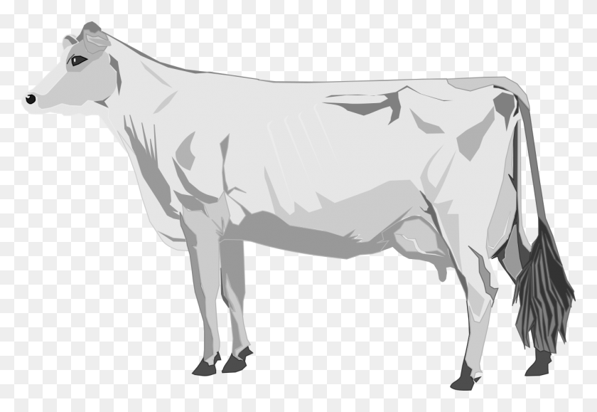 1280x853 Png Корова В Svg Вектор .Svg, Бык, Млекопитающее, Животное Hd Png Скачать