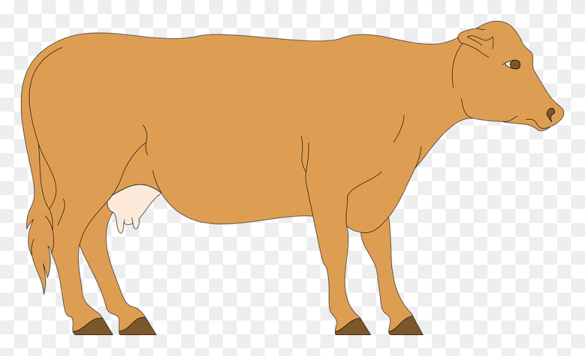 960x556 Cow Livestock Cattle Clip Art Brown Cow, Bull, Mammal, Animal HD PNG Download