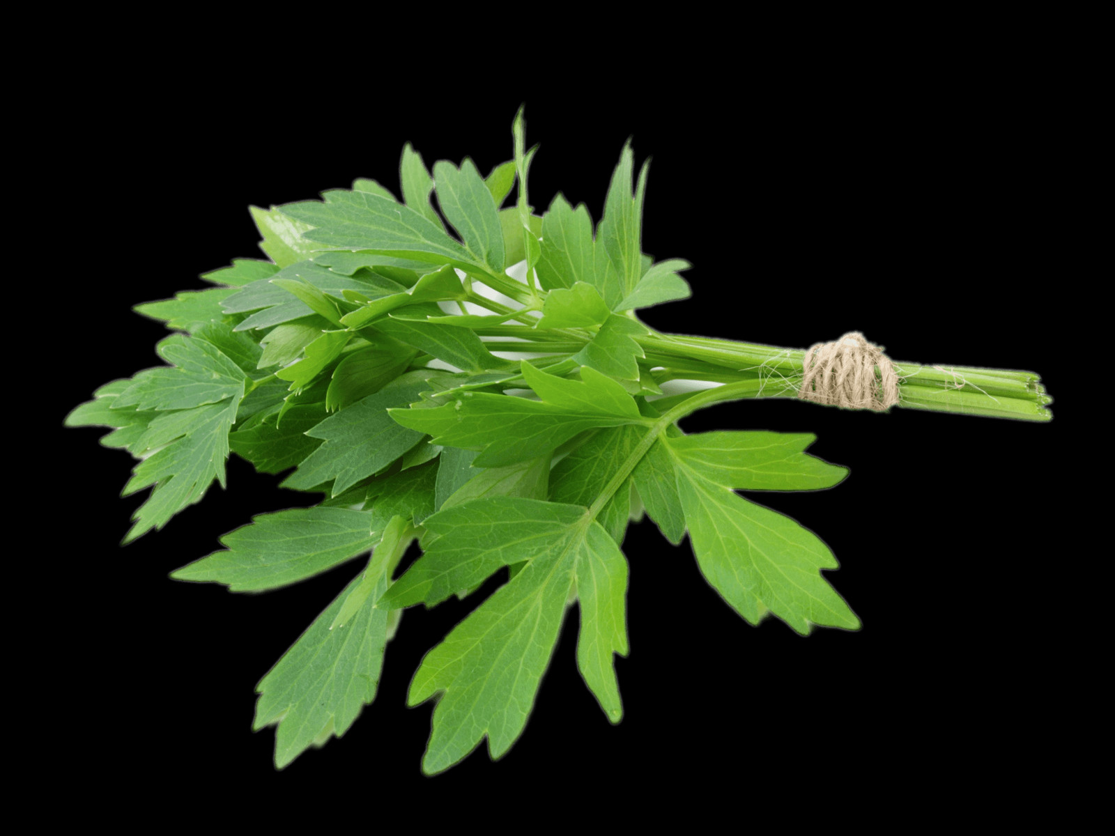 1600x1200 Cow Parsley, Vase, Jar, Pottery HD PNG Download