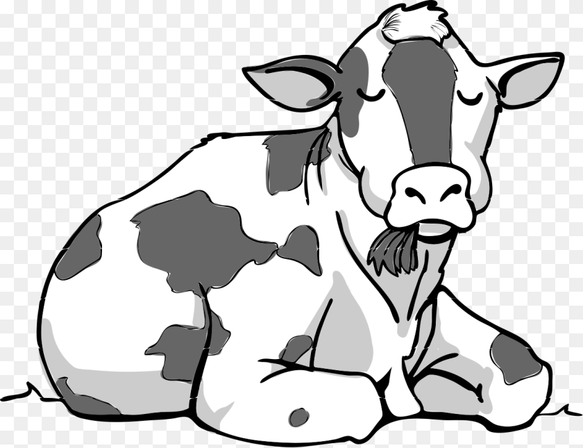 1200x922 Cow Sitting Down Animal, Cattle, Livestock, Mammal Clipart PNG