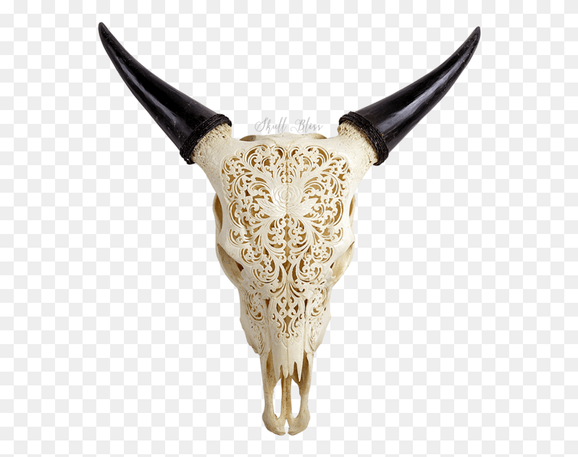 560x604 Cow Skull Cow Skull, Bird, Animal, Person HD PNG Download