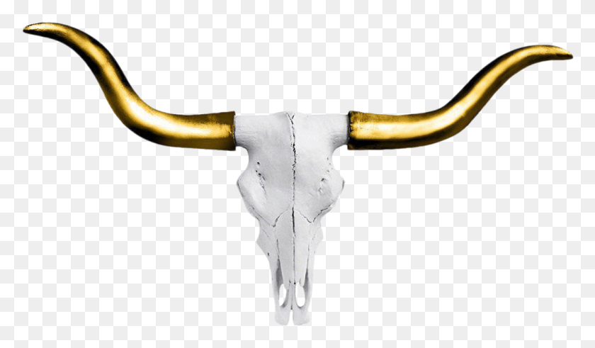 1064x589 Cow Skull Transparent Background Gold And White Longhorn Skull, Hammer, Tool, Axe HD PNG Download