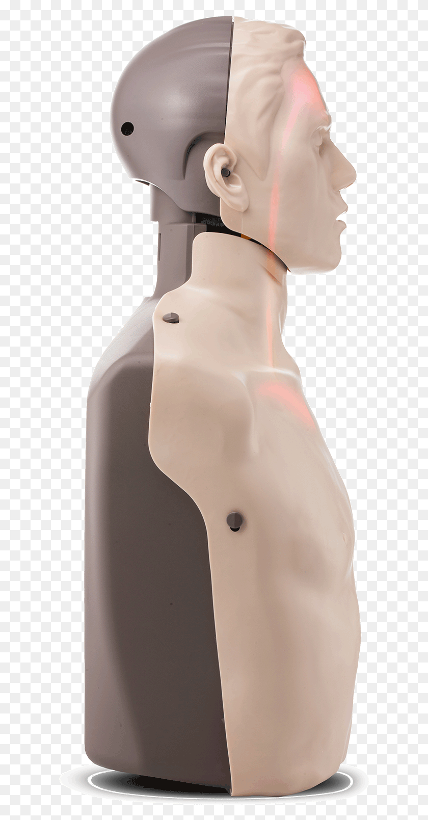 613x1549 Cpr Manikin With Led Light Feedback Red Cross Store, Snowman, Winter, Snow HD PNG Download