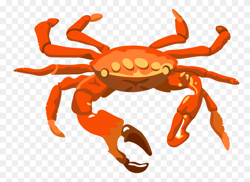 7903x5612 Crab Transparent Clip Art Image Gallery Yopriceville Crab Clipart Transparent Background, Seafood, Food, Sea Life HD PNG Download