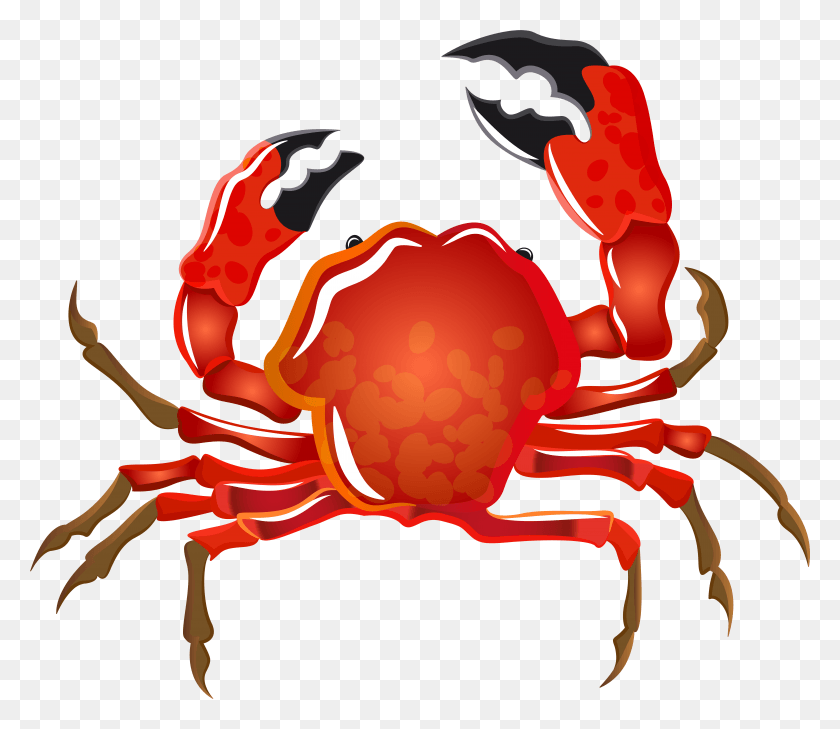 7897x6775 Crab Transparent Image, Sea Life, Animal, Seafood HD PNG Download