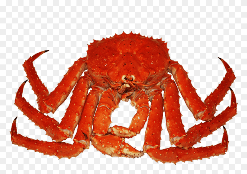 832x570 Crab Transparent Images Freshwater Crab, Seafood, Sea Life, Food HD PNG Download