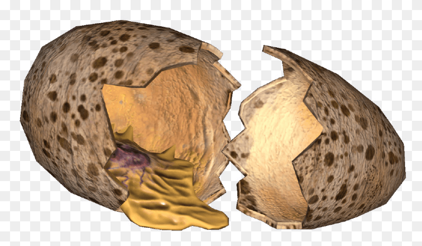 1021x562 Cracked Deathclaw Egg Electric Ray, Bird, Animal, Pattern HD PNG Download