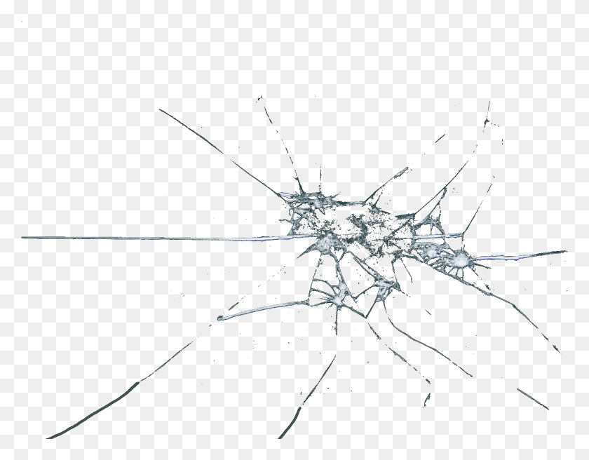1743x1334 Cracked Glass Transparent Shattered Crack Glass, Invertebrate, Animal, Insect HD PNG Download