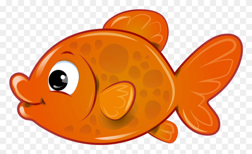 790x460 Крекер Бесплатно На Прозрачном Фоне Рыба Клипарт, Животные, Золотая Рыбка Hd Png Скачать
