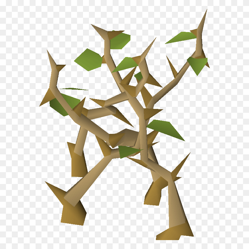 576x779 Craft, Plant, Tree, Clothing HD PNG Download