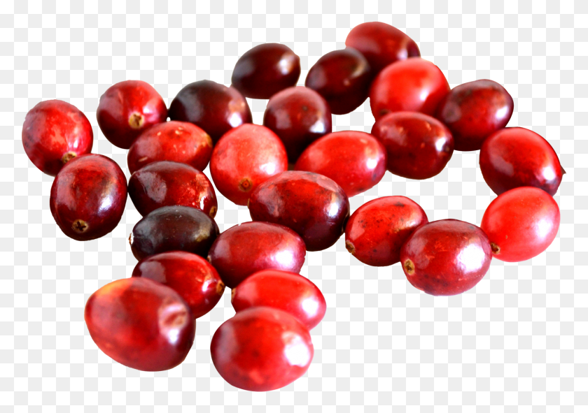 Cranberry, Plant, Grapes, Fruit HD PNG Download