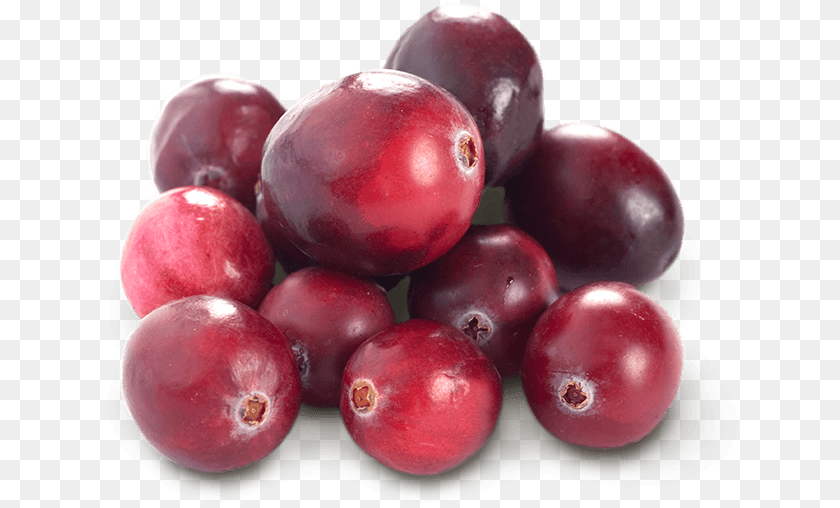 Cranberry And Blueberry Food, Fruit, Plant, Produce Transparent PNG