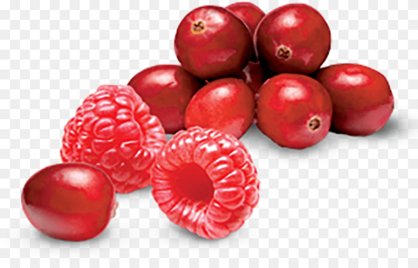 Cranberry And Raspberry Tart Yogurtland, Berry, Food, Fruit, Plant Clipart PNG