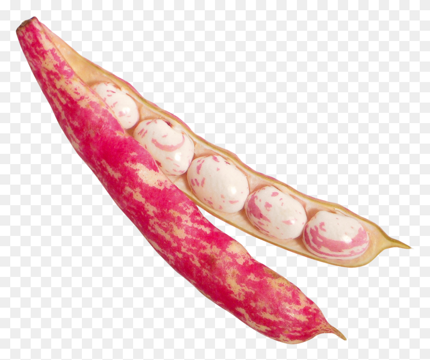 1397x1150 Cranberry Beans, Plant, Vegetable, Food HD PNG Download